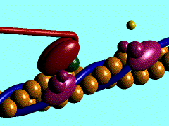 Animation of the generation of force by the interaction of actin and myosin, from *The Nervous System in Action*.